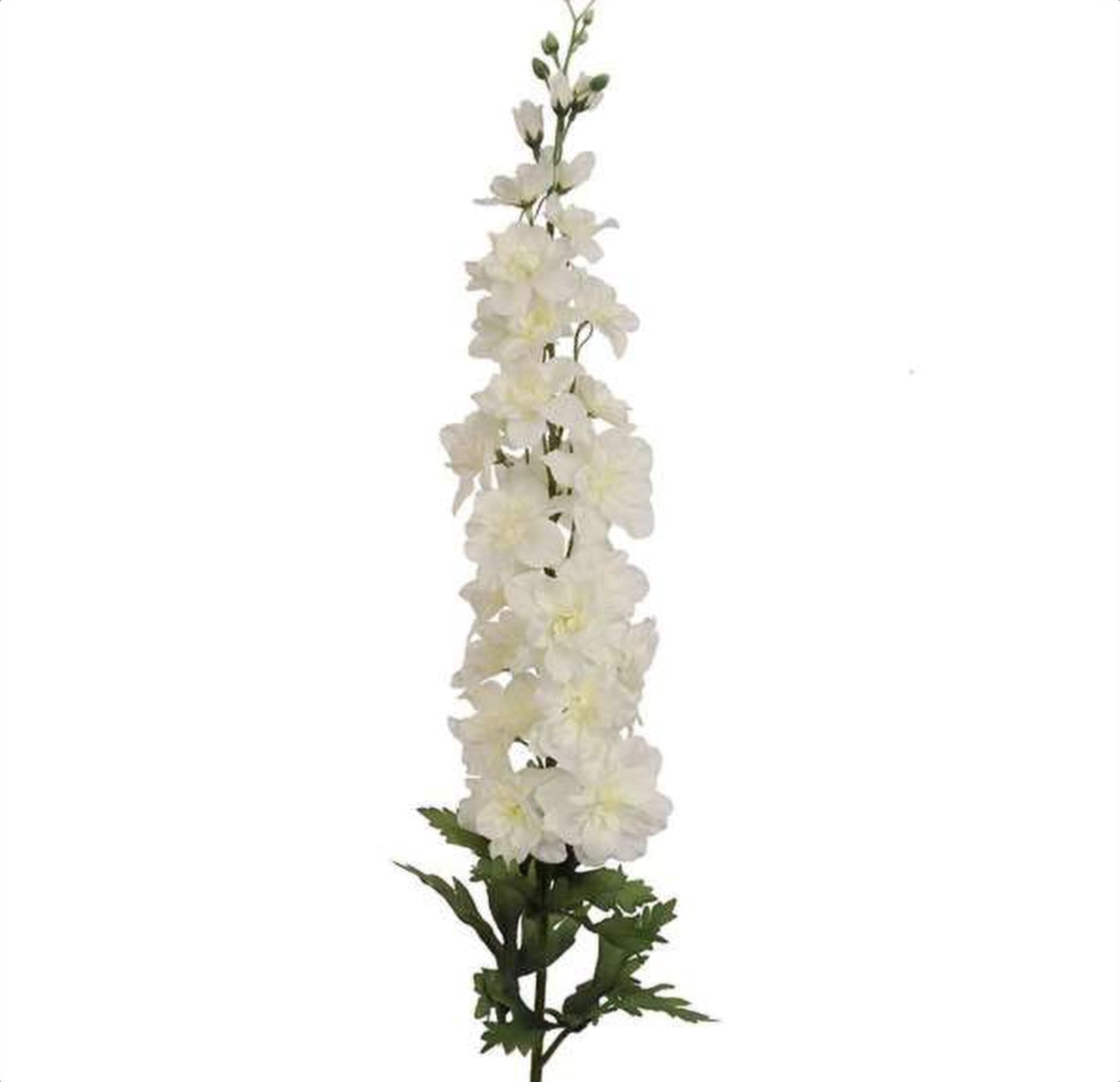 Delphinium White, a white delphinium grown in Kenya for wholesale export
